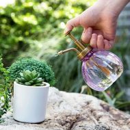 Colored Plant Mister Spray Bottle - Image 6
