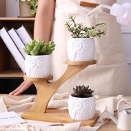 Tiered Ceramic Owl Succulent Planters with Bamboo Shelf - Image 4
