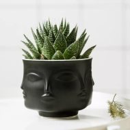 Multi-Face Succulent Planter - Image 2