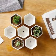 Hexagon Ceramic Succulent Planter with Bamboo Saucer - Image 3