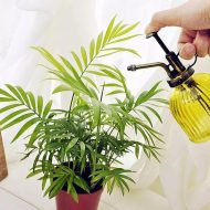 Colored Glass Plant Mister Spray Bottle - Image 6