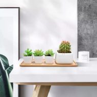 Natural Bamboo Planter Saucer Trays - Image 6