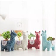 Alpaca Ceramic Succulent Planter - Image 15