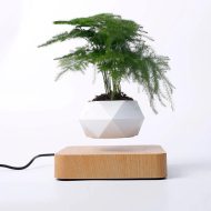 Magnetic Levitating Planter - Image 6