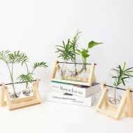 Glass Propagation Vase with A-Frame Wooden Stand - Image 3
