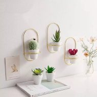 Ceramic Flowerpot with Metal Wall Mount - Image 14