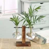 Glass Propagation Vase with Vertical Wooden Stand - Image 4