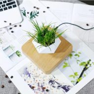 Magnetic Levitating Planter - Image 17