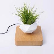 Magnetic Levitating Planter - Image 10