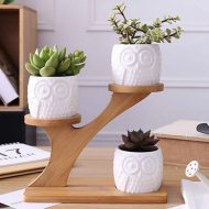 Tiered Ceramic Owl Succulent Planters with Bamboo Shelf - Image 3