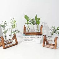 Glass Propagation Vase with A-Frame Wooden Stand - Image 2