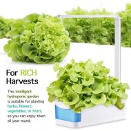 Indoor Herb Garden Hydroponic LED Planter Kit - Image 4