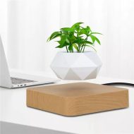 Magnetic Levitating Planter - Image 14