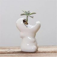 Chomping Hippo Ceramic Succulent Planter - Image 4