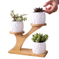 Tiered Ceramic Owl Succulent Planters with Bamboo Shelf - Image 9