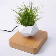 Magnetic Levitating Planter - Image 4