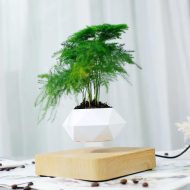 Magnetic Levitating Planter - Image 9