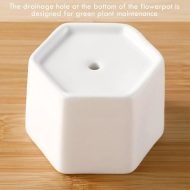 Hexagon Ceramic Succulent Planter with Bamboo Saucer - Image 8