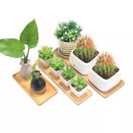 Natural Bamboo Planter Saucer Trays - Image 8