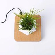Magnetic Levitating Planter - Image 7