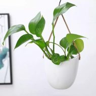 Ceramic Satchel Hanging Planters - Image 5