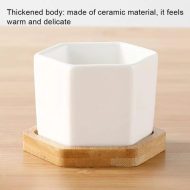 Hexagon Ceramic Succulent Planter with Bamboo Saucer - Image 12