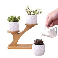 Tiered Ceramic Owl Succulent Planters with Bamboo Shelf - Image 6