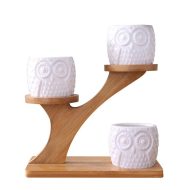 Tiered Ceramic Owl Succulent Planters with Bamboo Shelf - Image 7