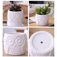 Tiered Ceramic Owl Succulent Planters with Bamboo Shelf - Image 5