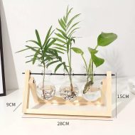 Glass Propagation Vase with A-Frame Wooden Stand - Image 15