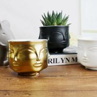Multi-Face Succulent Planter - Image 3