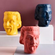 Einstein Planter - Image 7