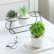 White Ceramic Succulent Planter Trio with Metal Sleigh Stand - Image 7
