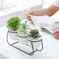White Ceramic Succulent Planter Trio with Metal Sleigh Stand - Image 2