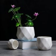 Rounded Diamond Ceramic Succulent Planters - Image 9