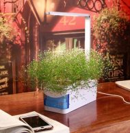 Indoor Herb Garden Hydroponic LED Planter Kit - Image 9