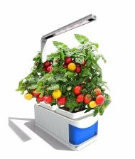 Indoor Herb Garden Hydroponic LED Planter Kit - Image 11