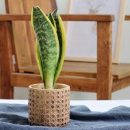 Natural Rattan Texture Cement Planter - Image 2