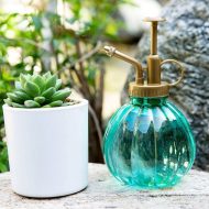 Colored Plant Mister Spray Bottle - Image 5