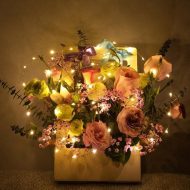 Patio Fairy Battery LED lights with Copper String - Image 4