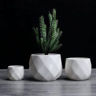 Rounded Diamond Ceramic Succulent Planters - Image 2