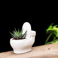 Handmade Ceramic Toilet Succulent Planter - Image 5