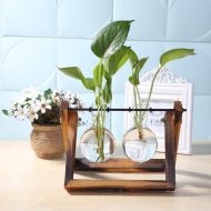 Glass Propagation Vase with A-Frame Wooden Stand - Image 5