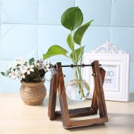 Glass Propagation Vase with A-Frame Wooden Stand - Image 11