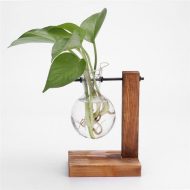 Glass Propagation Vase with Vertical Wooden Stand - Image 5