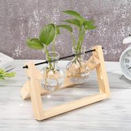 Glass Propagation Vase with A-Frame Wooden Stand - Image 6