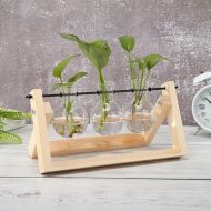 Glass Propagation Vase with A-Frame Wooden Stand - Image 4