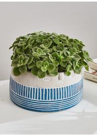 Native Tribal Pattern Ceramic Face Planter - Image 6