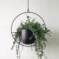 Halo Metal Hanging Planter - Image 9