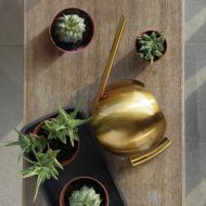 Spherical Gooseneck Stainless Steel Watering Can - Image 15